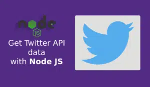 Get twitter api data with Node JS